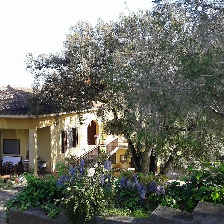 B&B Coldulivo Capoterra Luaran gambar
