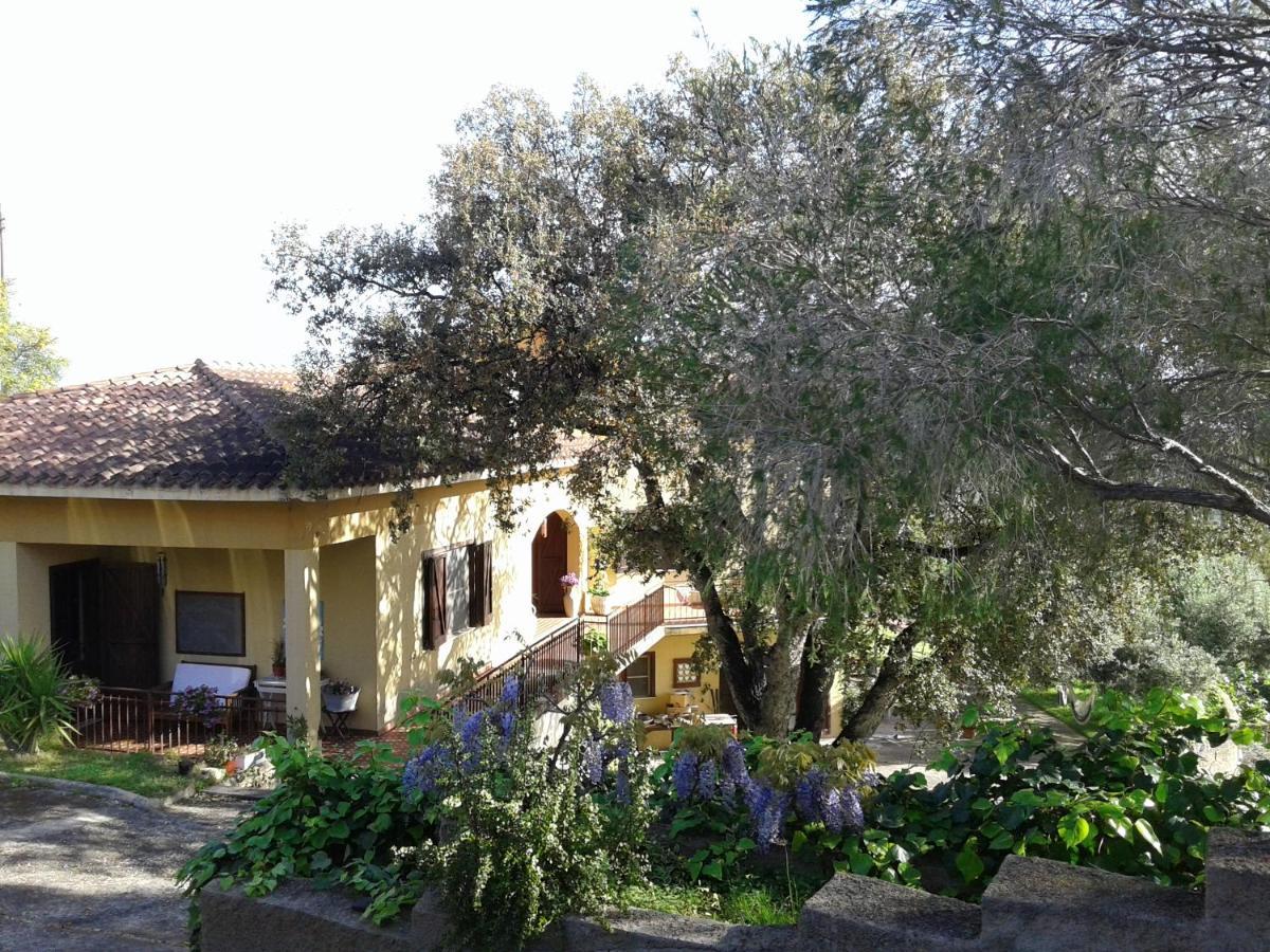 B&B Coldulivo Capoterra Luaran gambar