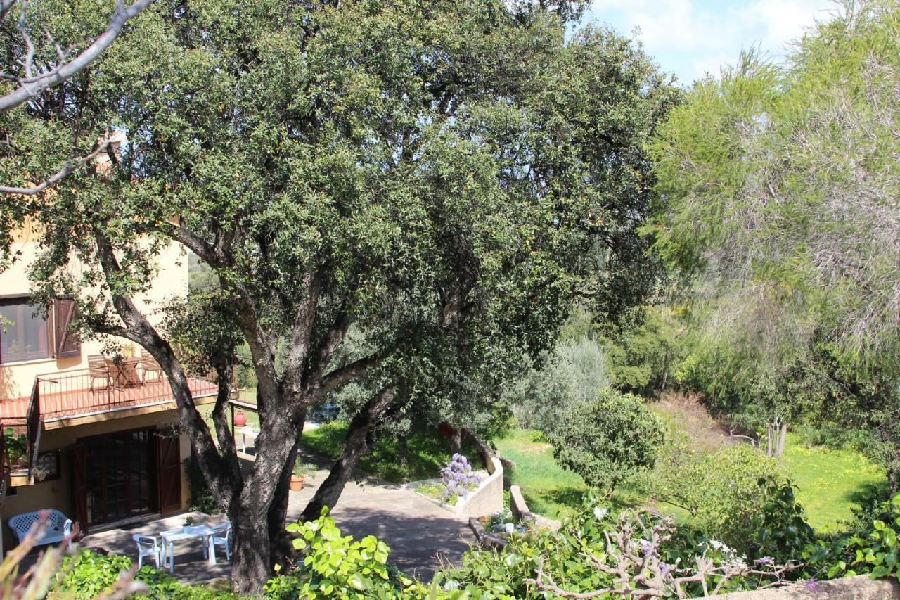 B&B Coldulivo Capoterra Luaran gambar