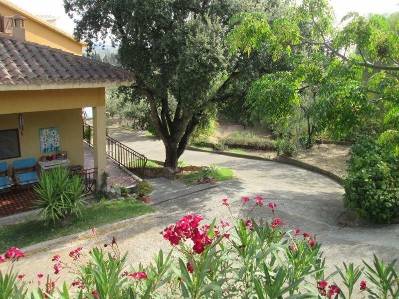B&B Coldulivo Capoterra Luaran gambar